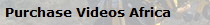 Purchase Videos Africa